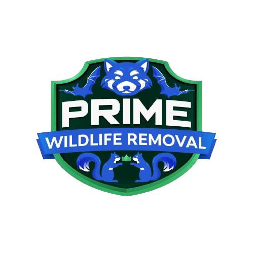 Animal Removal Richmond